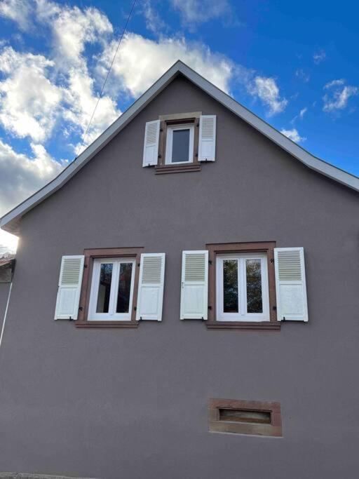 Le Gite Des Cigogneaux Schwenheim المظهر الخارجي الصورة